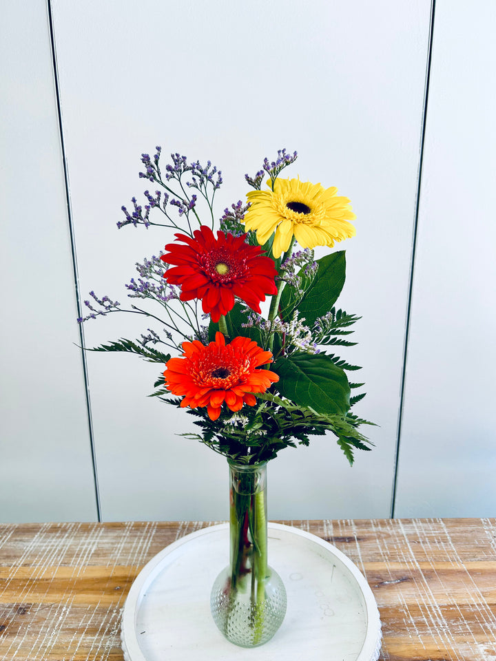 Gerbera Daisies Bud Vase