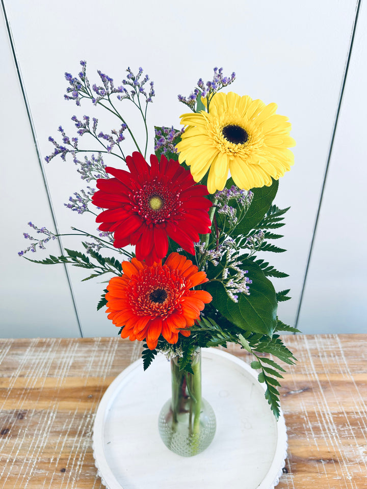 Gerbera Daisies Bud Vase